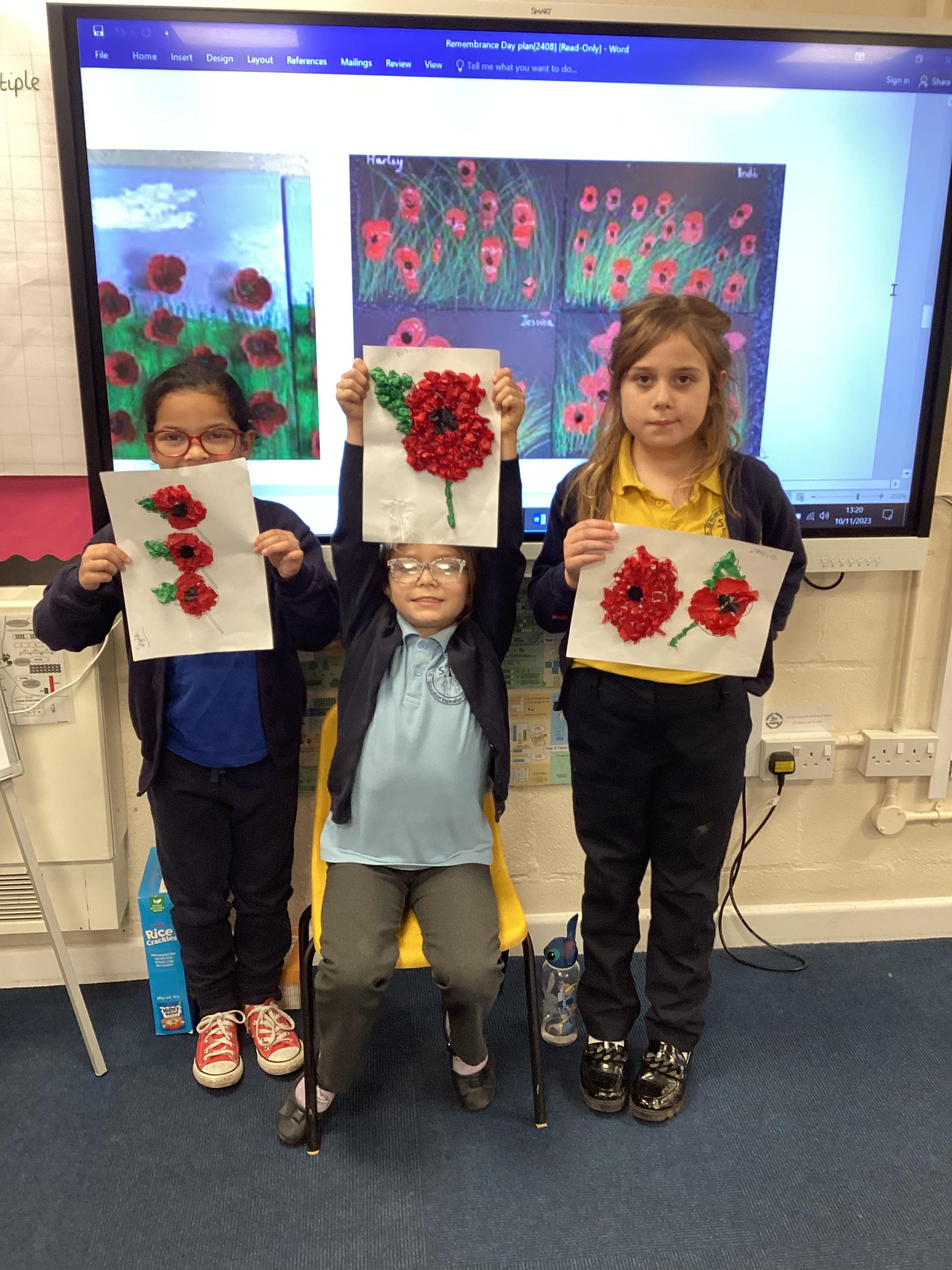 Poppies created for Remembrance Day